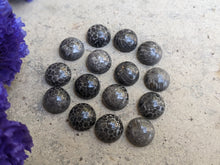 Load image into Gallery viewer, Black Fossil Coral Round Cabochons - 10mm
