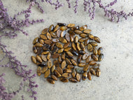 Tigers Eye Marquise Cabochons - 4x8mm