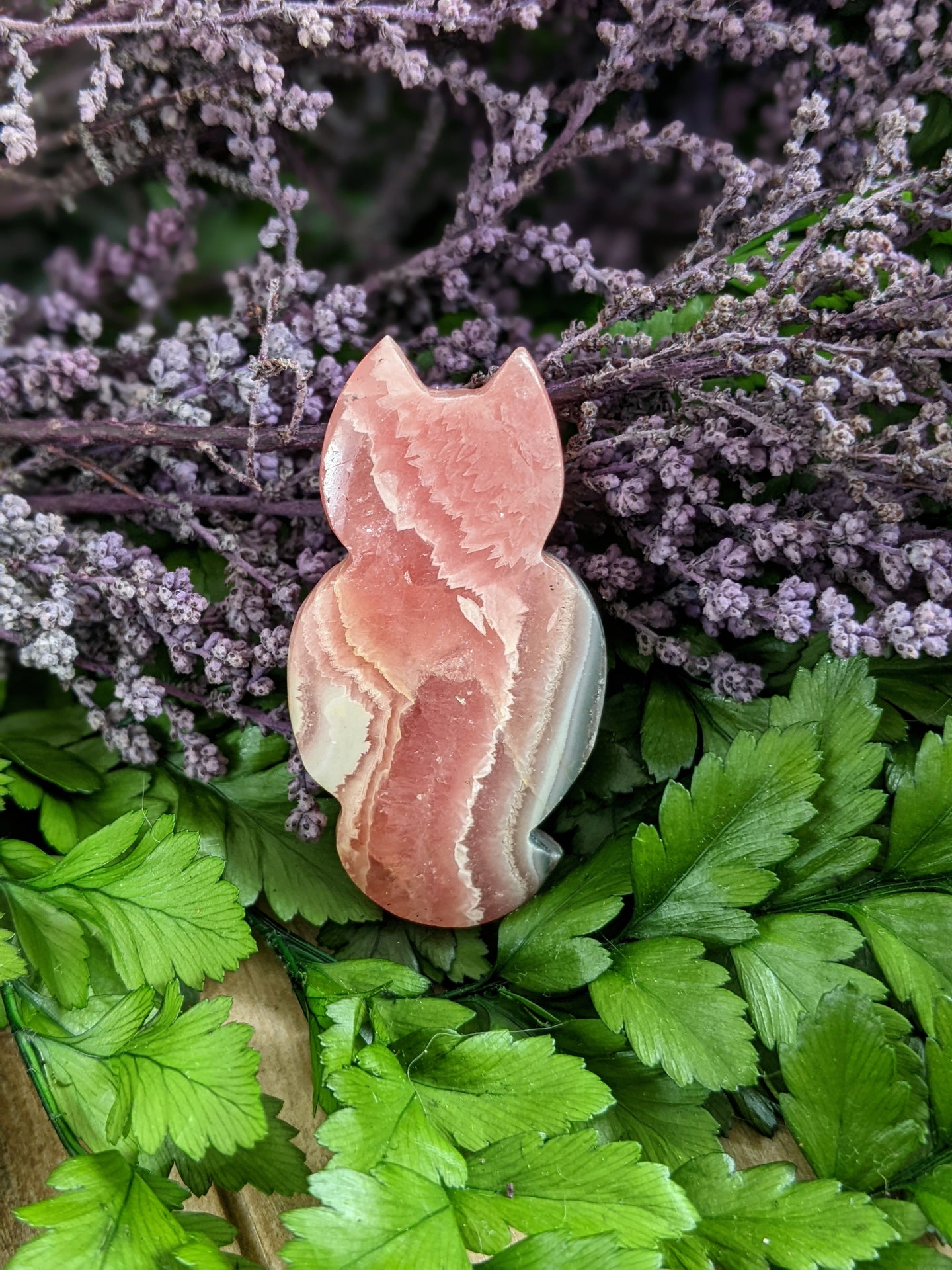 Rhodochrosite Cat Cabochon