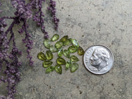 Peridot Teardrop Facets - 4x6mm