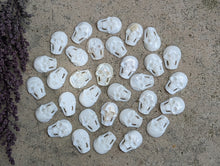 Load image into Gallery viewer, Mother of Pearl Skull Cabochons
