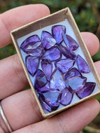 Clearance Amethyst Fancy Cut Shield Facets
