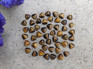 Tigers Eye Trillion Cabochons - 6mm